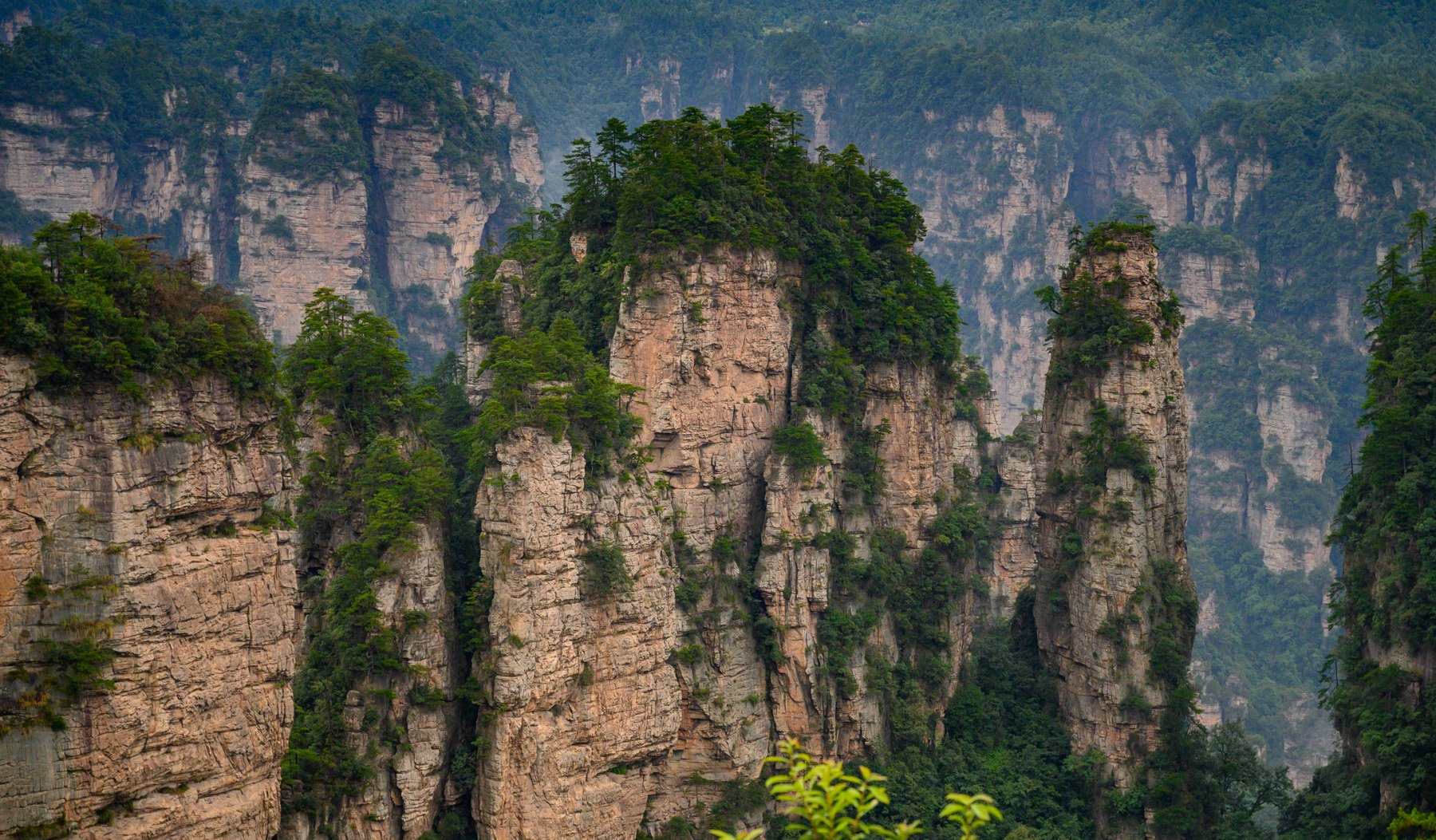 Lush sandstone pillars of Zhangjiajie National Forest Park